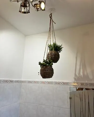 Vue Avec Piscine Et Jardin Arbore 빌라 Coggia