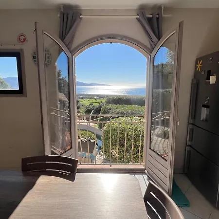 Vue Avec Piscine Et Jardin Arbore Coggia